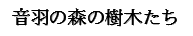 音羽の森の樹木たち
